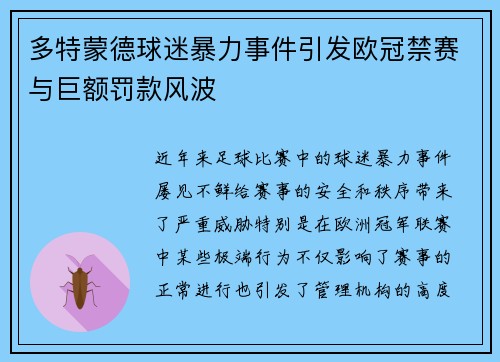 多特蒙德球迷暴力事件引发欧冠禁赛与巨额罚款风波
