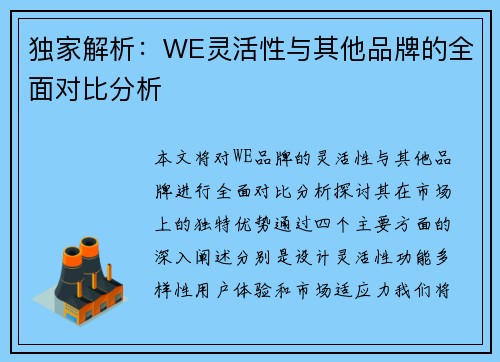 独家解析：WE灵活性与其他品牌的全面对比分析