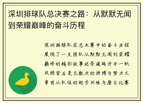 深圳排球队总决赛之路：从默默无闻到荣耀巅峰的奋斗历程